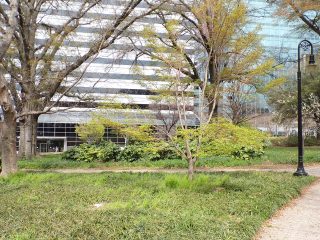 The South Carolina State House grounds in Columbia (file photo)