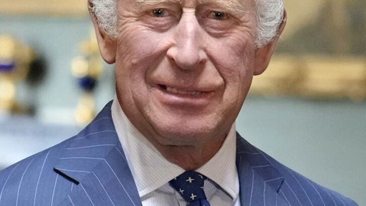 King Charles III in a July 2023 portrait (file photo)
