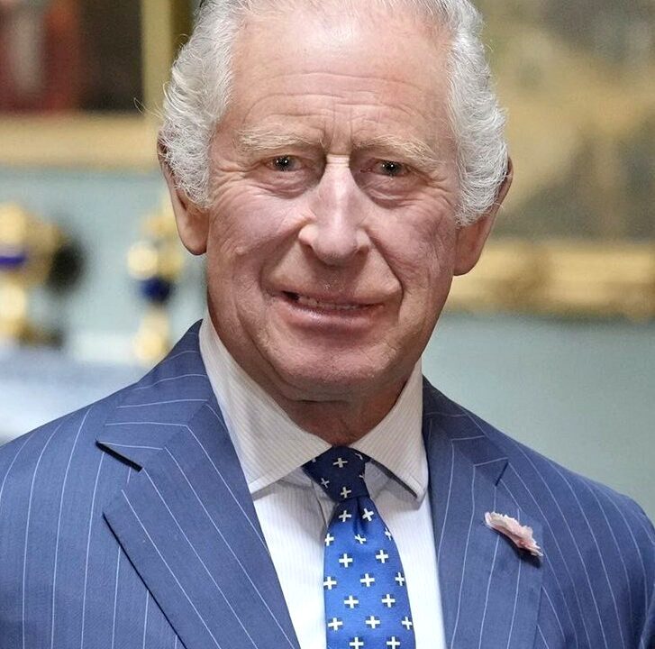 King Charles III in a July 2023 portrait (file photo)